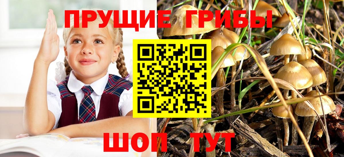 Галлюциногенные грибы Magic Shrooms Горячий Ключ