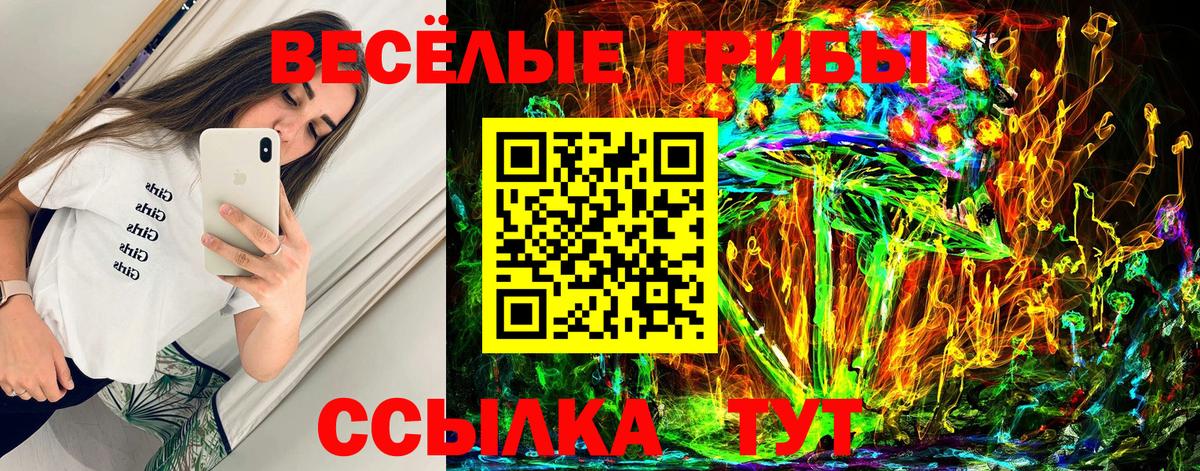 Псилоцибиновые грибы Psilocybine cubensis  Вход с VPN  Горячий Ключ 